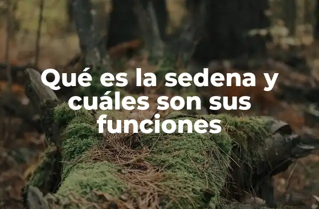 Qué es la Sedena y Cuáles Son Sus Funciones