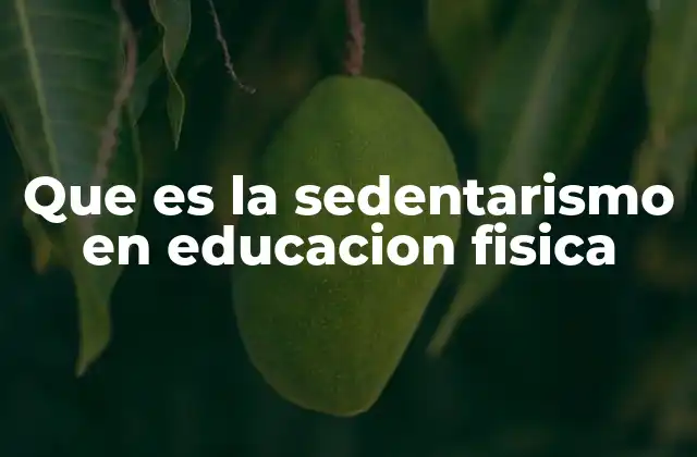 Que es la Sedentarismo en Educacion Fisica