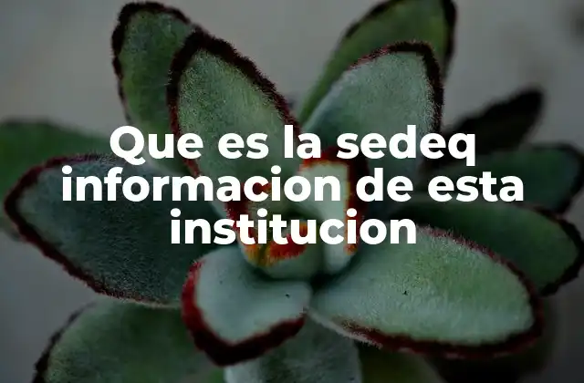 Que es la Sedeq Informacion de Esta Institucion