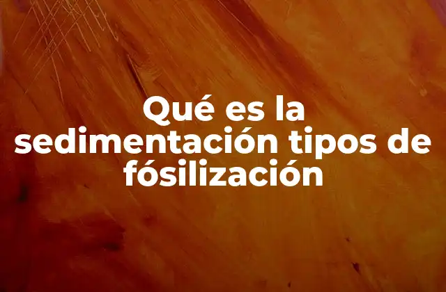 Qué es la Sedimentación Tipos de Fósilización