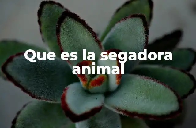 Que es la Segadora Animal