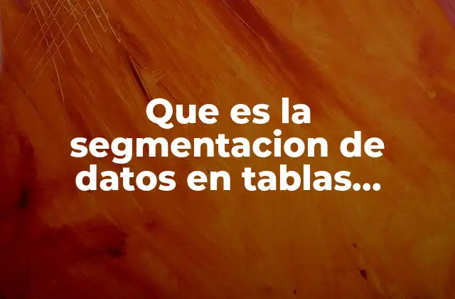 Que es la Segmentacion de Datos en Tablas Dinamicas