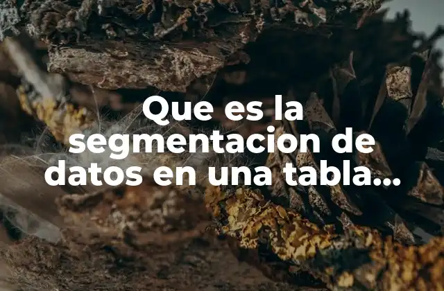 Que es la Segmentacion de Datos en una Tabla Dinamica