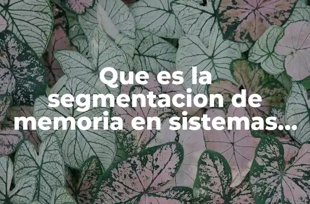 Que es la Segmentacion de Memoria en Sistemas Operativos