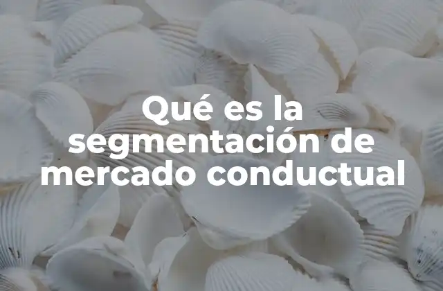Qué es la Segmentación de Mercado Conductual