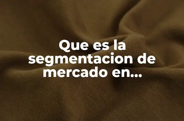Que es la Segmentacion de Mercado en Mercadotecnia