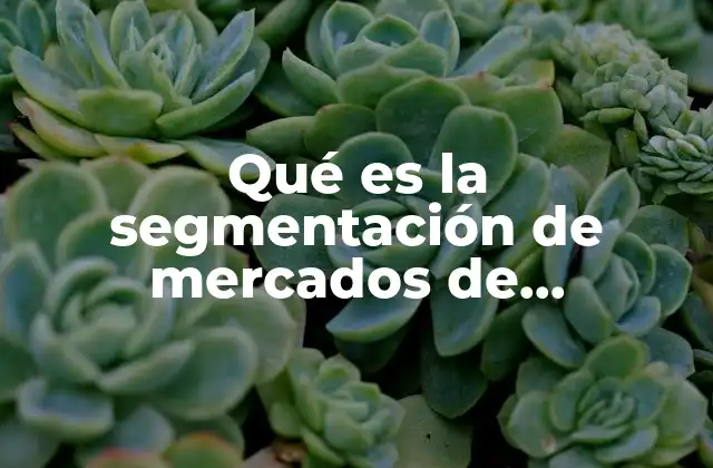 Qué es la Segmentación de Mercados de Consumidores
