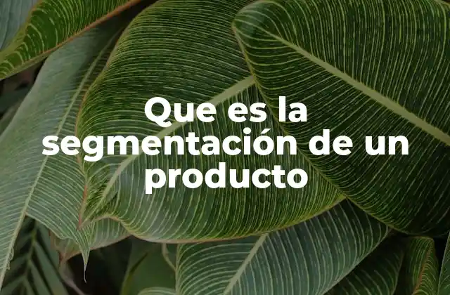 Que es la Segmentación de un Producto