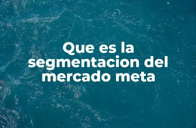 Que es la Segmentacion Del Mercado Meta