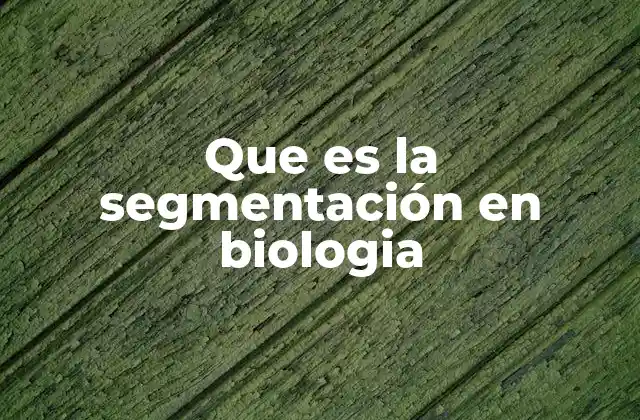 Que es la Segmentación en Biologia