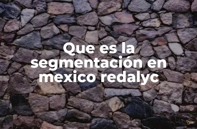 Que es la Segmentación en Mexico Redalyc