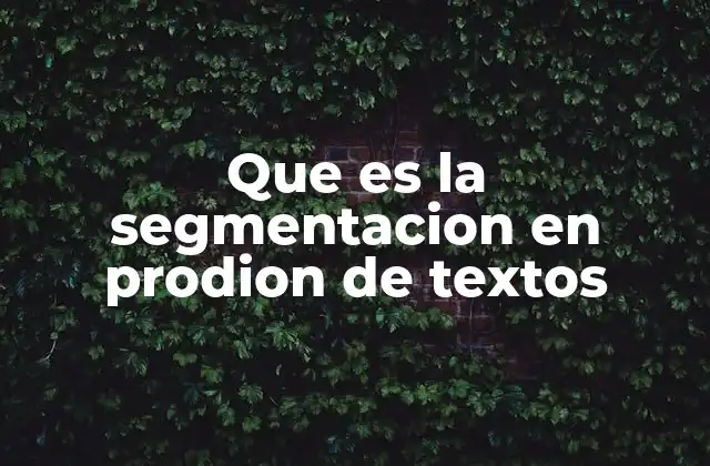Que es la Segmentacion en Prodion de Textos 2 La importancia de organizar el contenido escrito