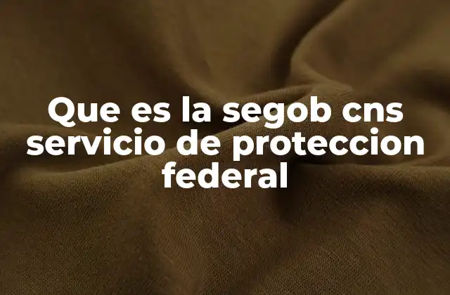 Que es la Segob Cns Servicio de Proteccion Federal