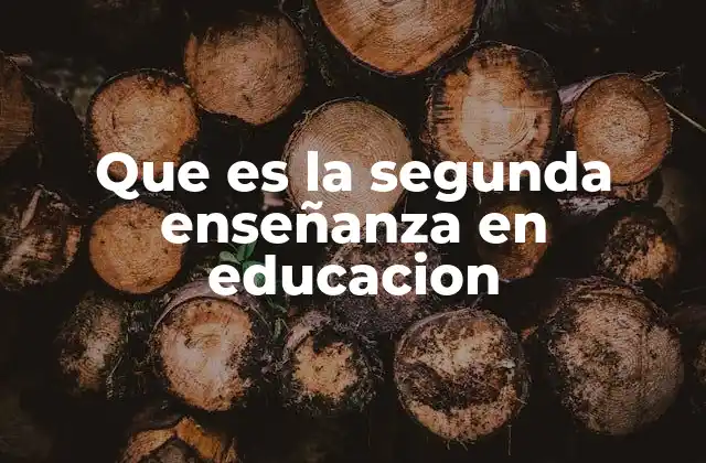 Que es la Segunda Enseñanza en Educacion