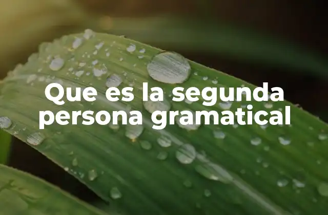 Que es la Segunda Persona Gramatical 2 El papel de la segunda persona en la comunicación interpersonal