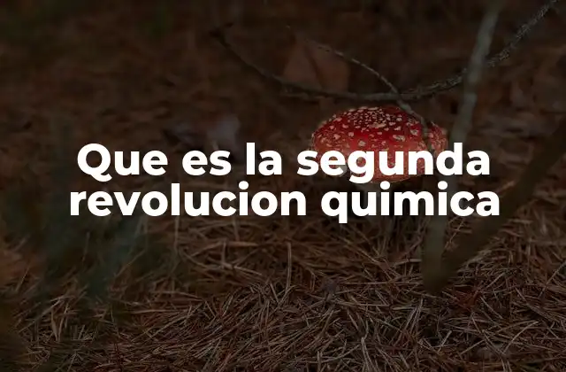 Que es la Segunda Revolucion Quimica