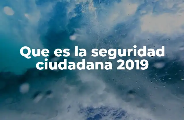 Que es la Seguridad Ciudadana 2019