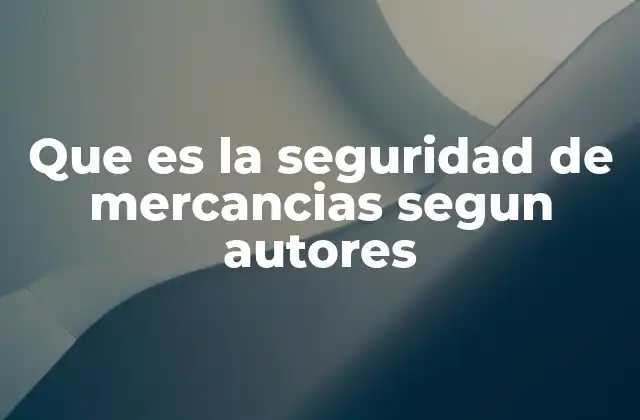 Que es la Seguridad de Mercancias Segun Autores