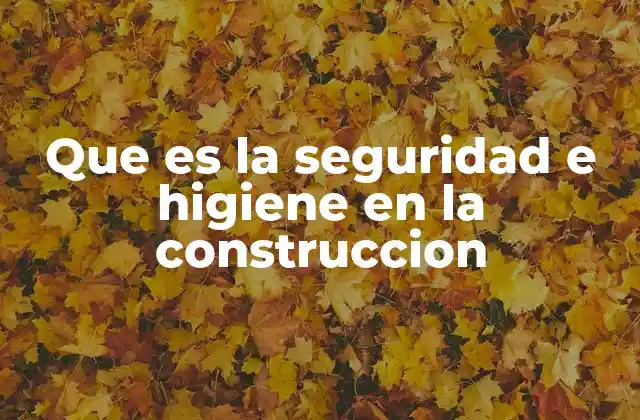 Que es la Seguridad e Higiene en la Construccion