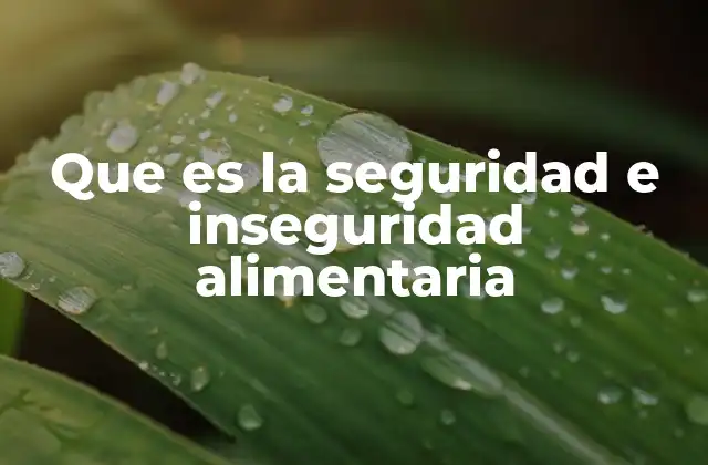 Que es la Seguridad e Inseguridad Alimentaria 2 El impacto de la falta de acceso a alimentos en la sociedad