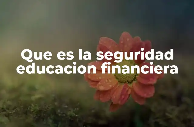 Que es la Seguridad Educacion Financiera