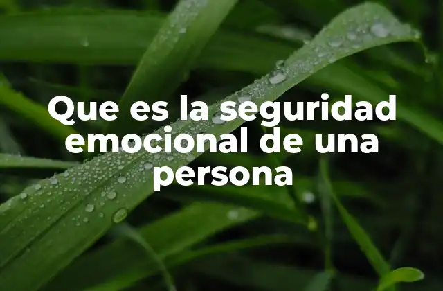 Que es la Seguridad Emocional de una Persona