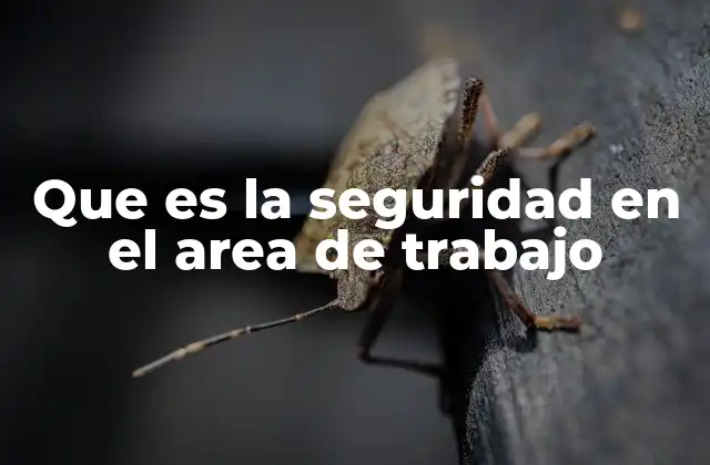 Que es la Seguridad en el Area de Trabajo 2 La importancia de crear un entorno laboral seguro