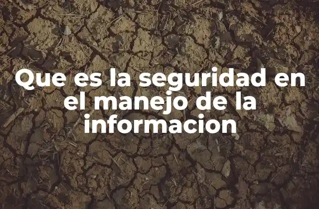 Que es la Seguridad en el Manejo de la Informacion
