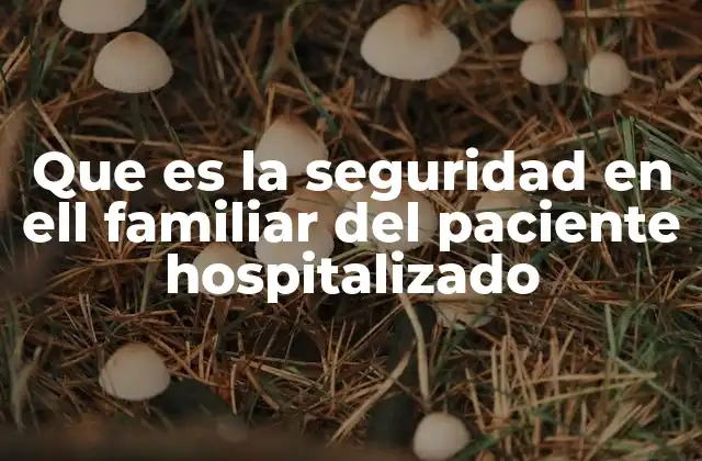 Que es la Seguridad en Ell Familiar Del Paciente Hospitalizado