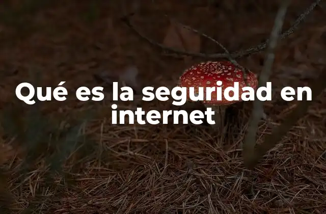 Qué es la Seguridad en Internet