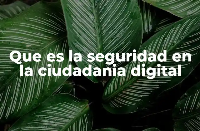 Que es la Seguridad en la Ciudadania Digital