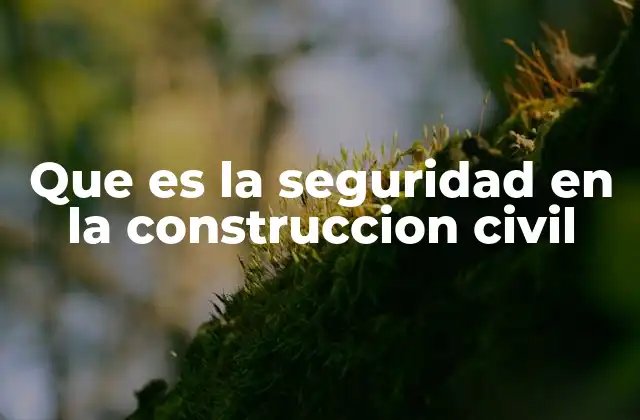 Que es la Seguridad en la Construccion Civil