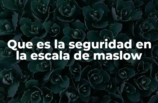 Que es la Seguridad en la Escala de Maslow 2 La importancia de la estabilidad emocional y física en el desarrollo humano