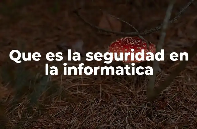 Que es la Seguridad en la Informatica