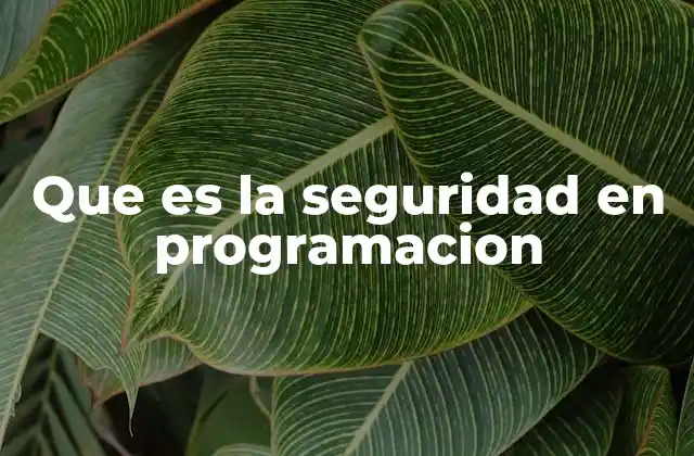 Que es la Seguridad en Programacion
