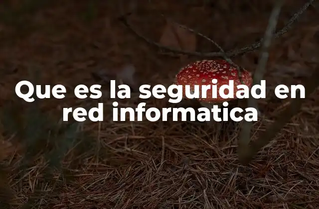 Que es la Seguridad en Red Informatica