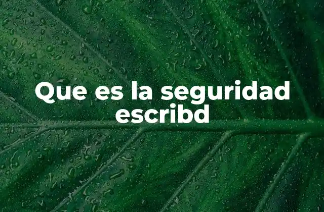 La importancia de la protección en plataformas digitales