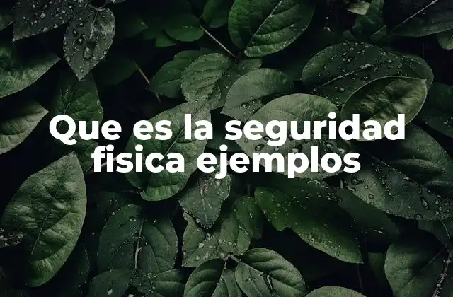 Que es la Seguridad Fisica Ejemplos
