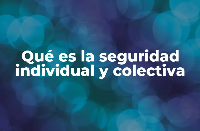 Qué es la Seguridad Individual y Colectiva