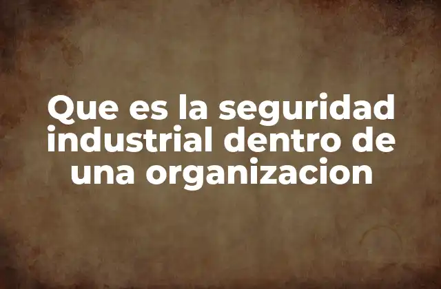 Que es la Seguridad Industrial Dentro de una Organizacion
