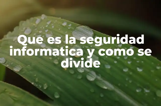 Que es la Seguridad Informatica y como Se Divide