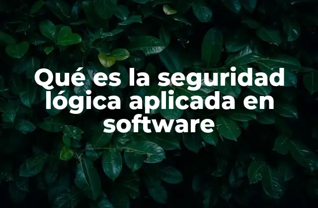 Qué es la Seguridad Lógica Aplicada en Software