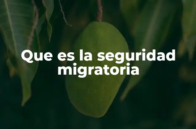 Que es la Seguridad Migratoria