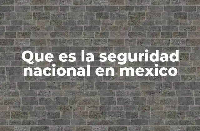 El papel de las instituciones en la protección de México