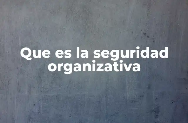 Que es la Seguridad Organizativa