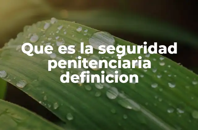 Que es la Seguridad Penitenciaria Definicion