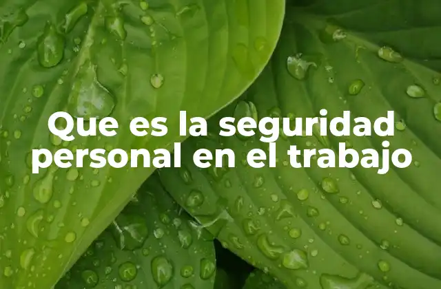 Que es la Seguridad Personal en el Trabajo