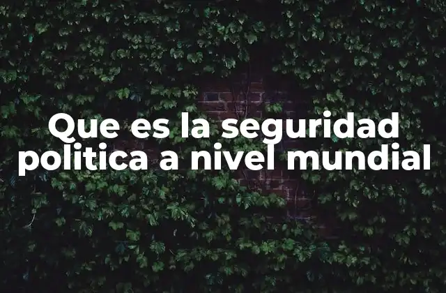 Que es la Seguridad Politica a Nivel Mundial