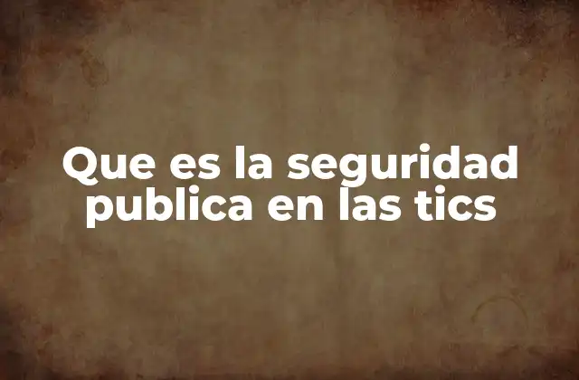 Que es la Seguridad Publica en las Tics