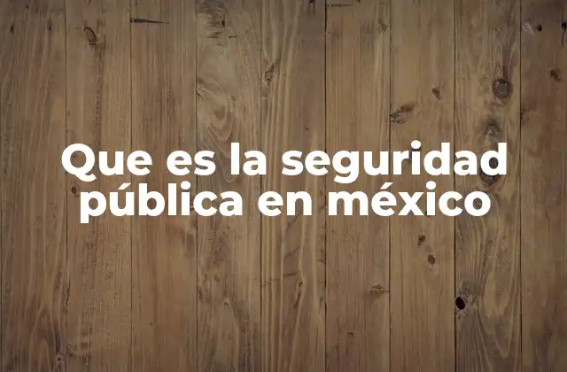 Que es la Seguridad Pública en México 2 La importancia de la seguridad en el contexto social y político mexicano